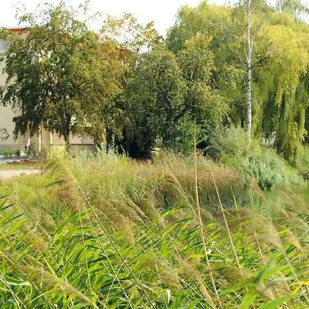 Seehotel Europa Lägenhetshotell Schwanau