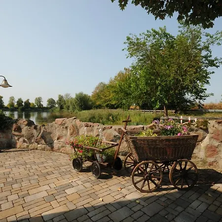 Seehotel Europa Schwanau