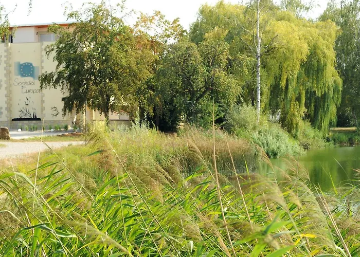 Seehotel Europa Lejlighedshotel Schwanau
