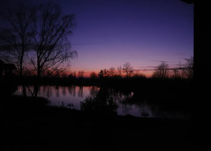 Seehotel Europa 아파트호텔 3*