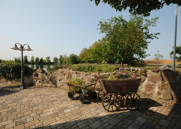 欧罗巴西霍特尔酒店 施瓦瑙